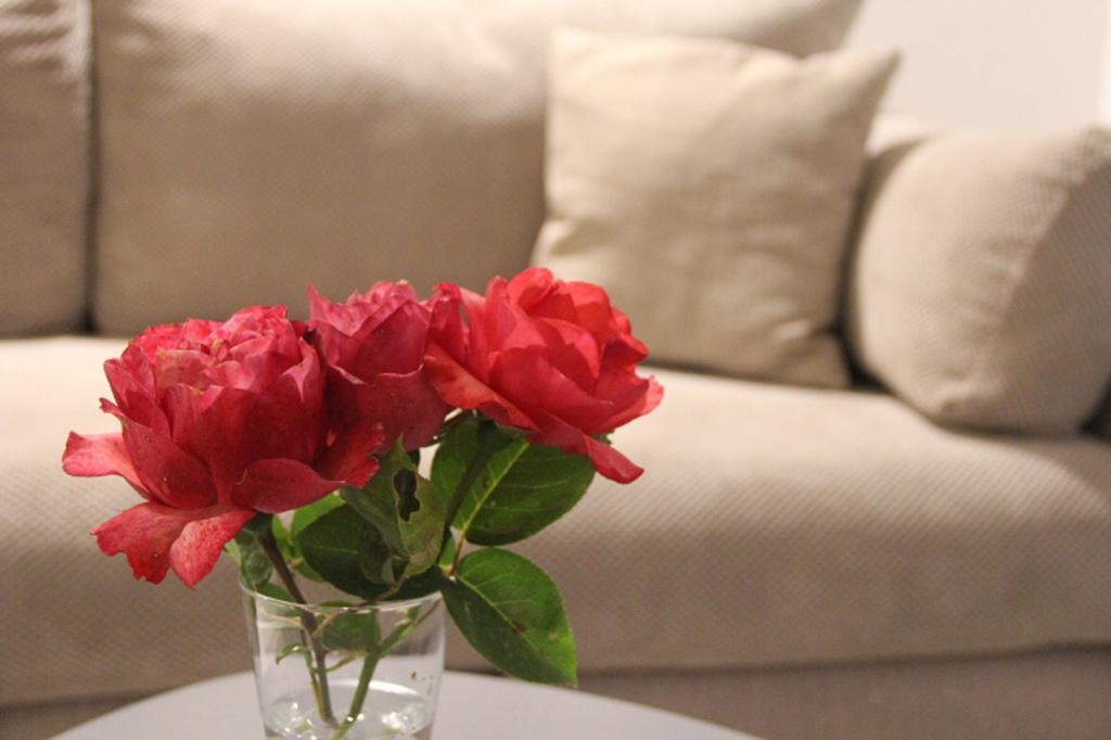 Filipa Apartment Котор Екстериор снимка
